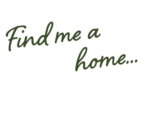 Homes for Sale in Carstairs