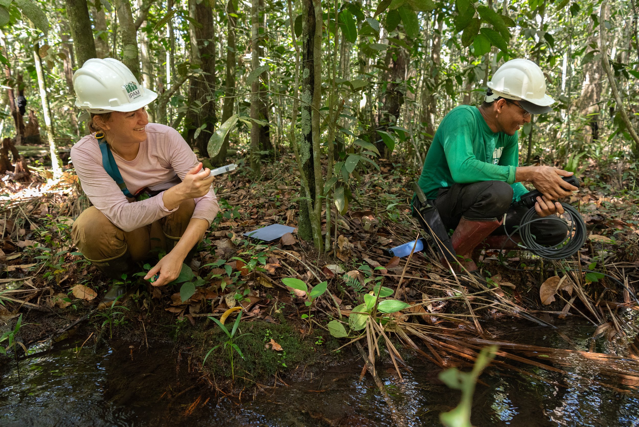 Stream Sampling Shenanigans.jpg