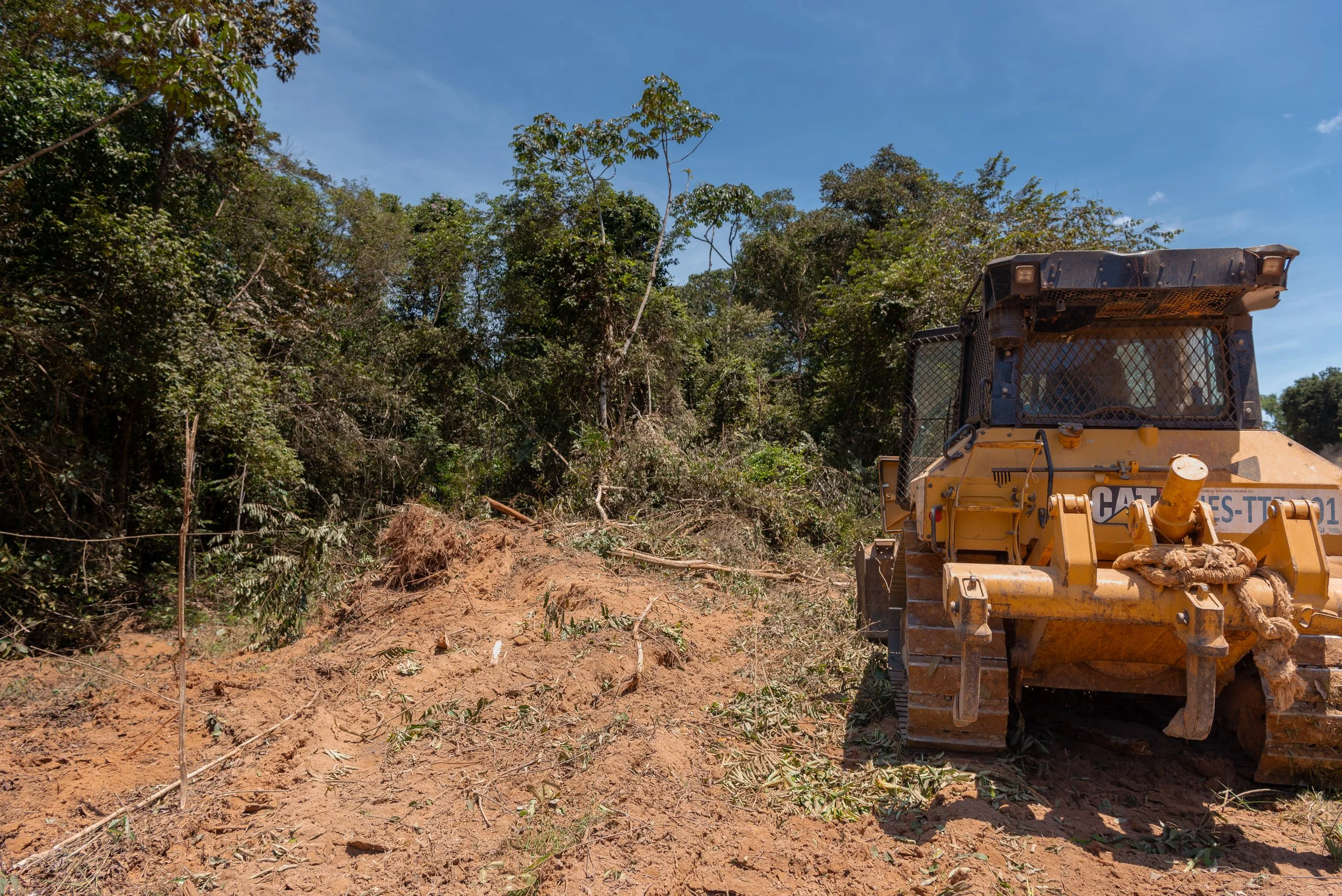 The changes aren't stopping. By this time, none of the trees in this image are left standing.