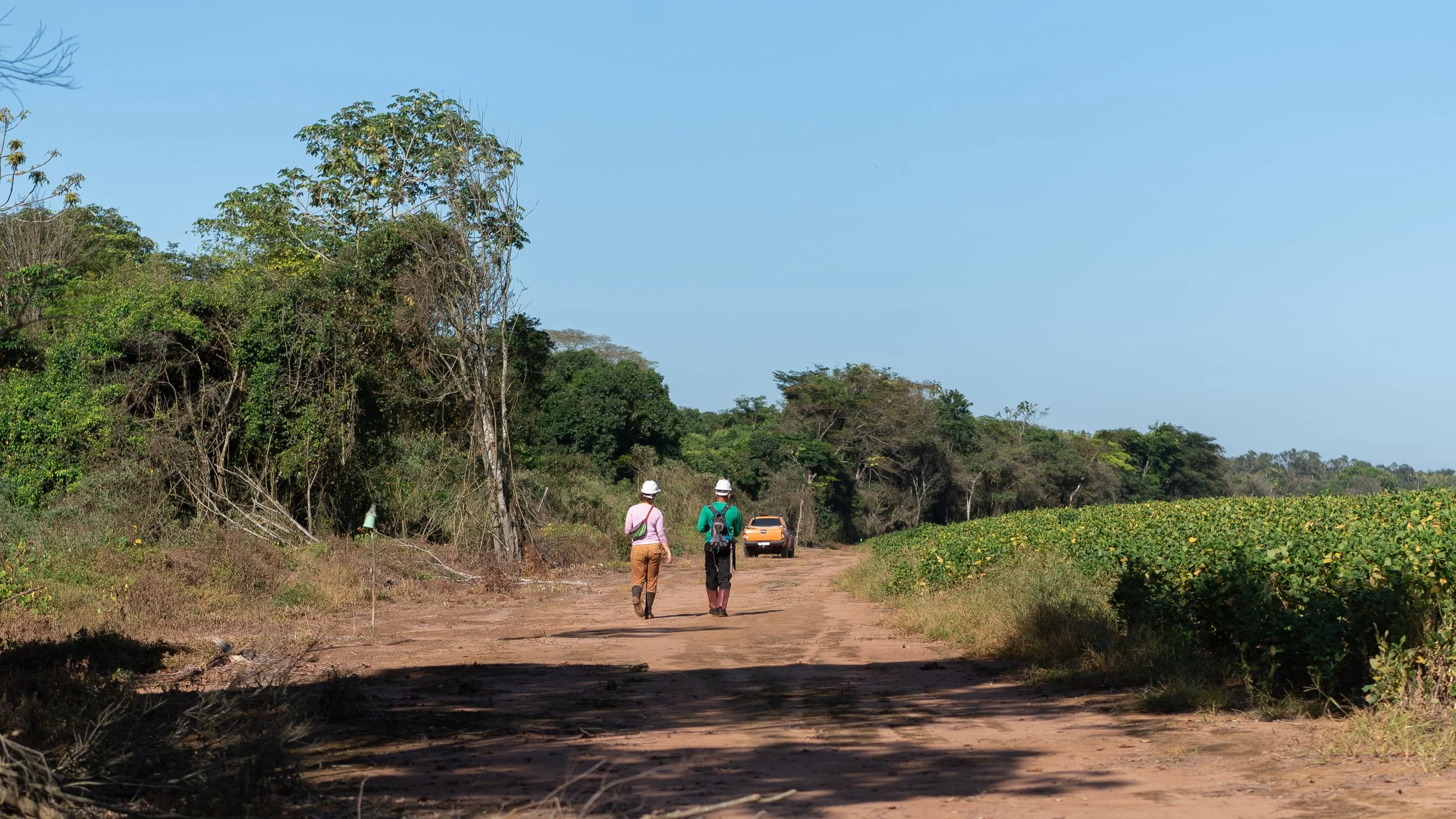 Tanguro on a walk.jpg