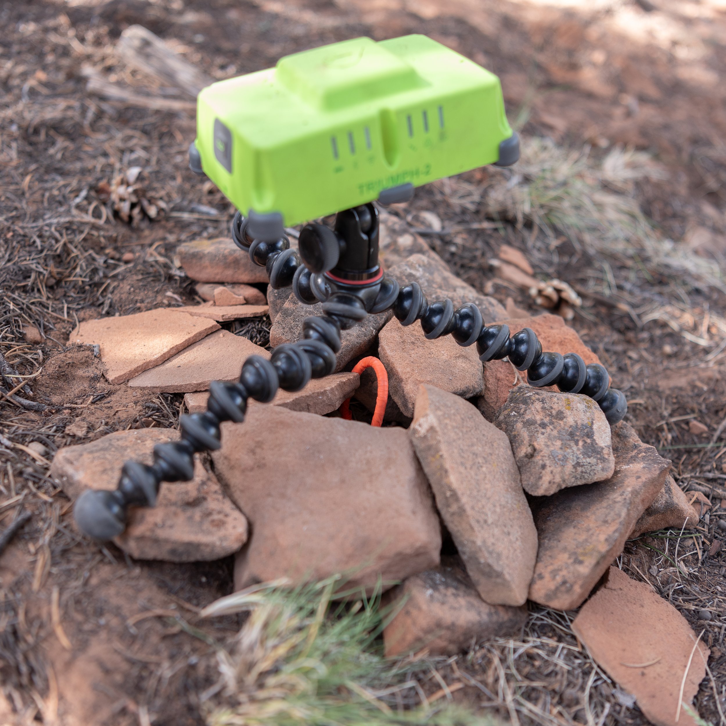 We measure each plot once every ten years. Because the program has existed in some form for almost 100 years, there are usually detailed directions and GPS coordinates to reach plot center, denoted by the stake wrapped in orange flagging. The green d