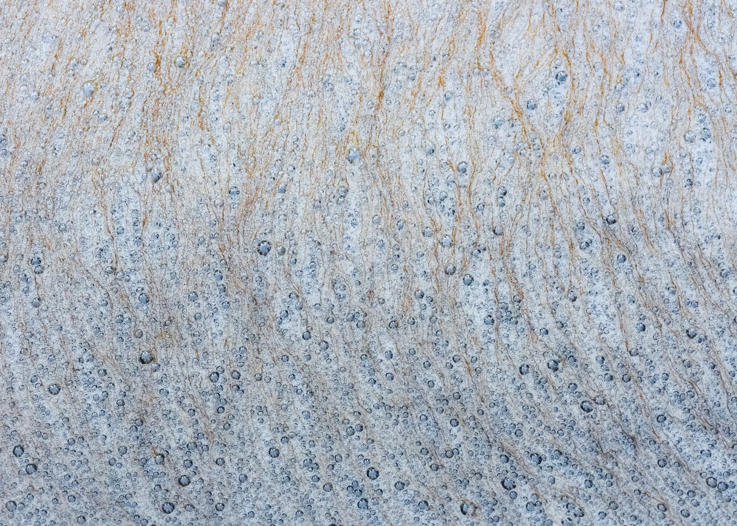 Bubbles.jpg