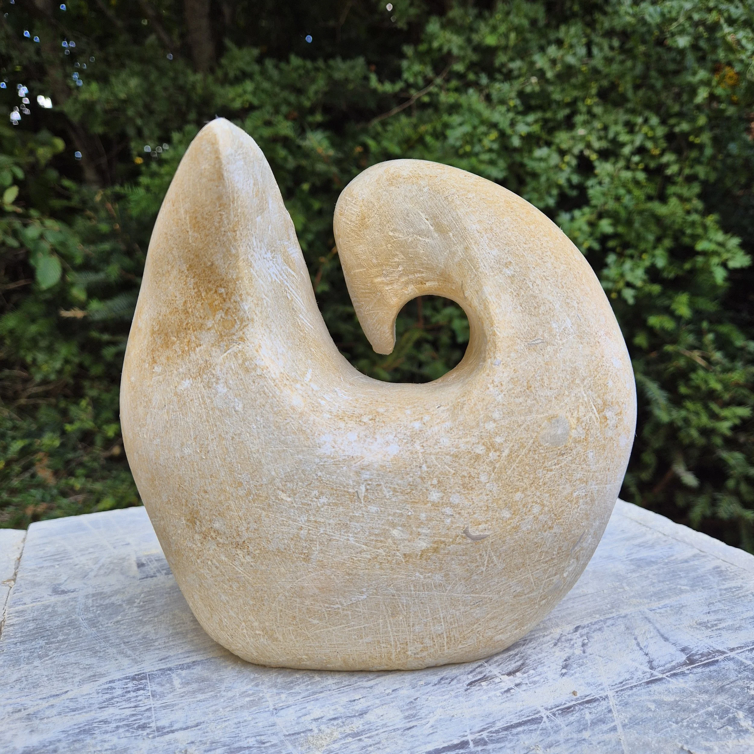 20260726_171034.jpg