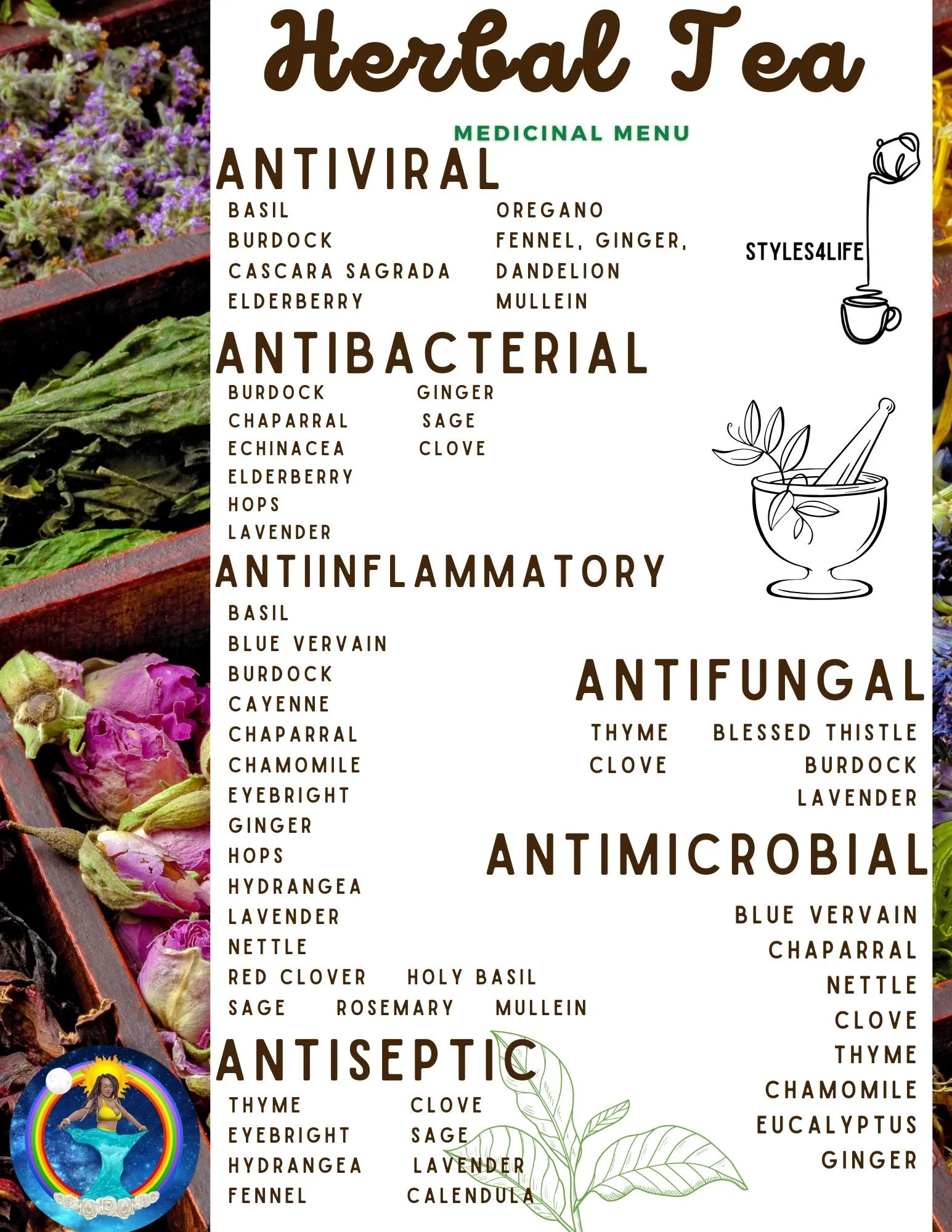 herbs to support long-term health & preventive care