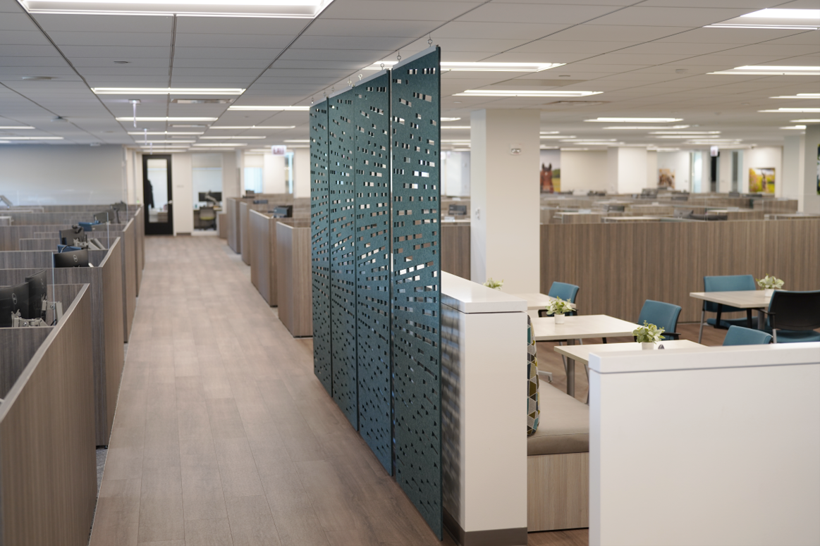 Sound Softening: The When, Where, and How for Acoustic Solutions