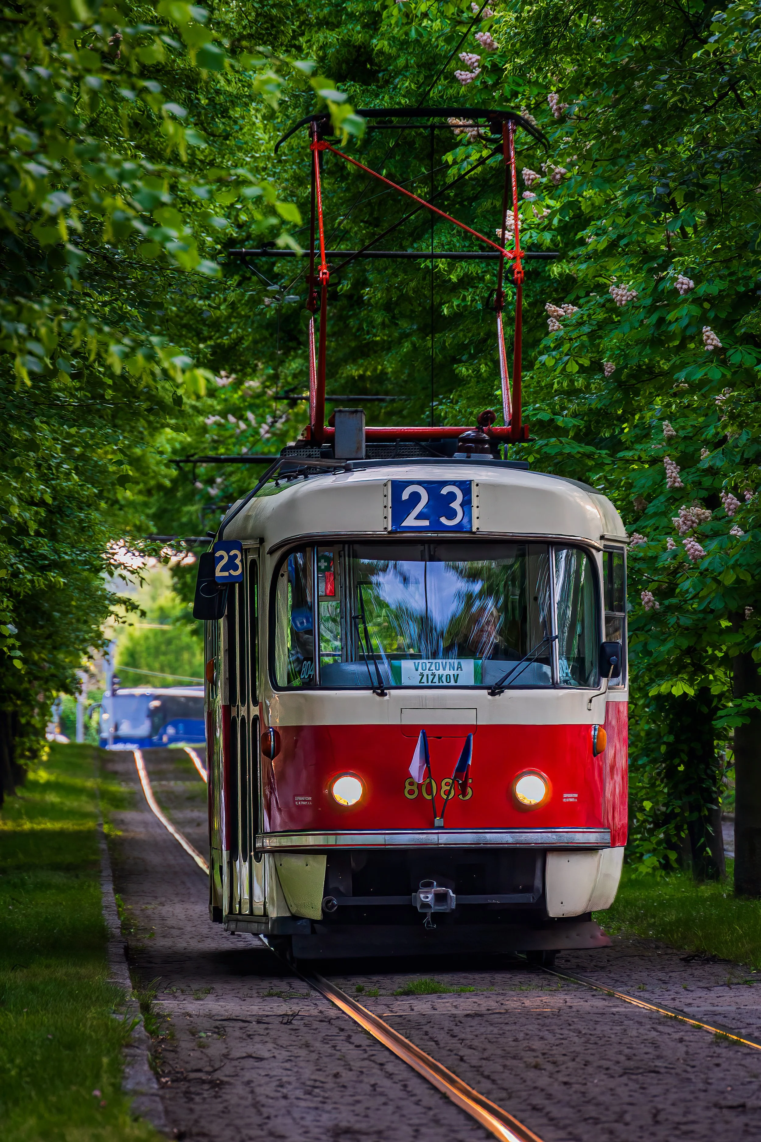 Tram, Prague, 1/50 sec at f / 7,1 ISO 400, 24 mm