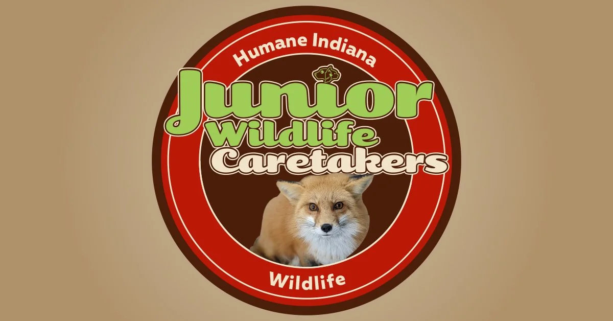 Junior Wildlife Caretakers  
