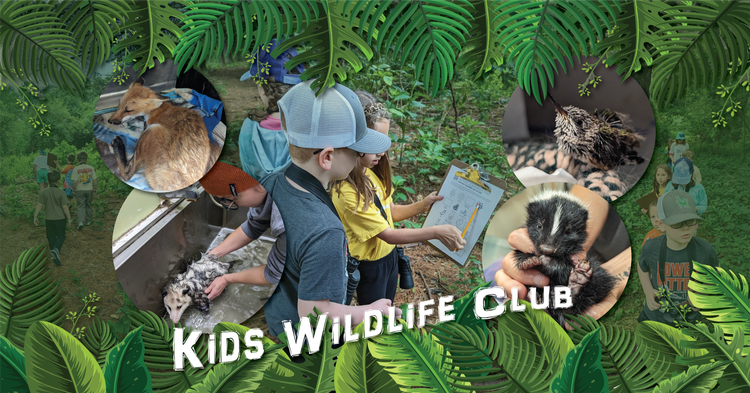 Kids Wildlife Club