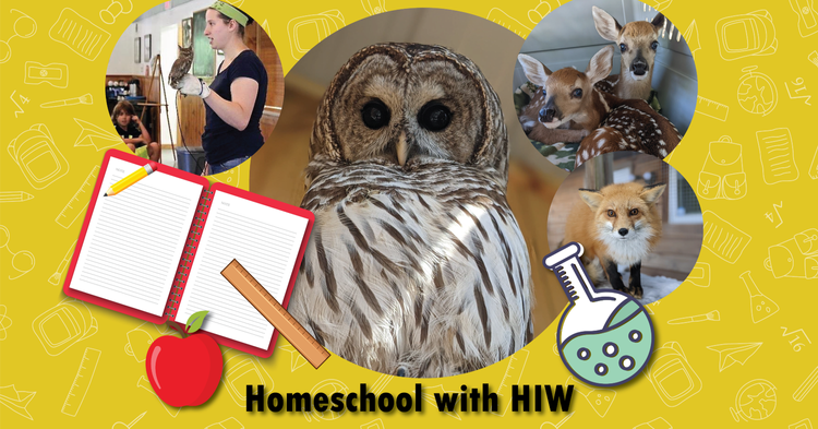 Homeschool with HIW
