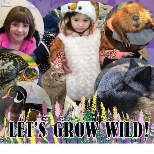 Let's Grow Wild! 