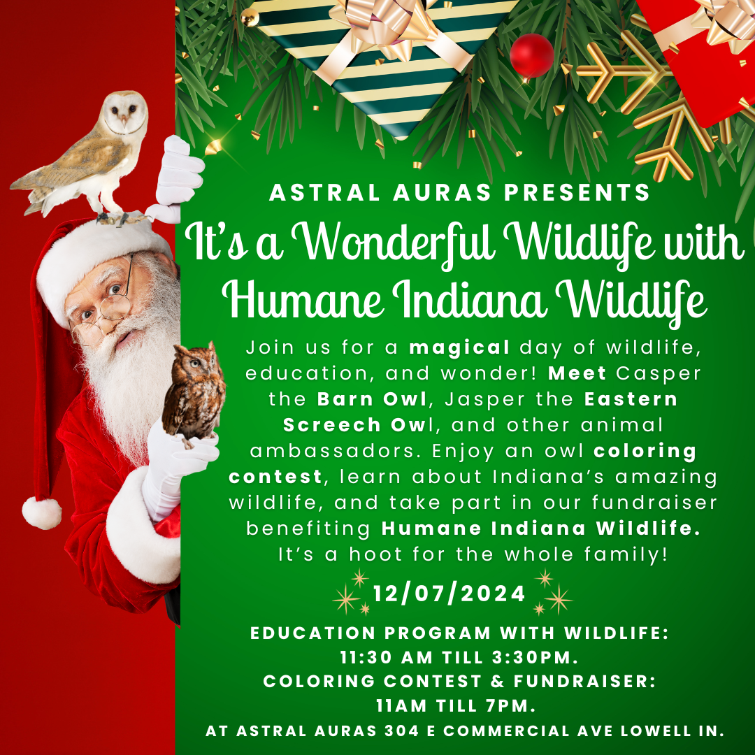 It's a Wonderful Wildlife 