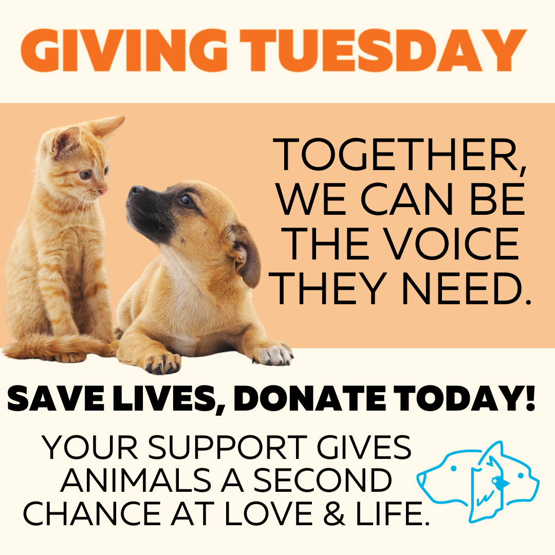 Paws for a Cause: Giving Tuesday.