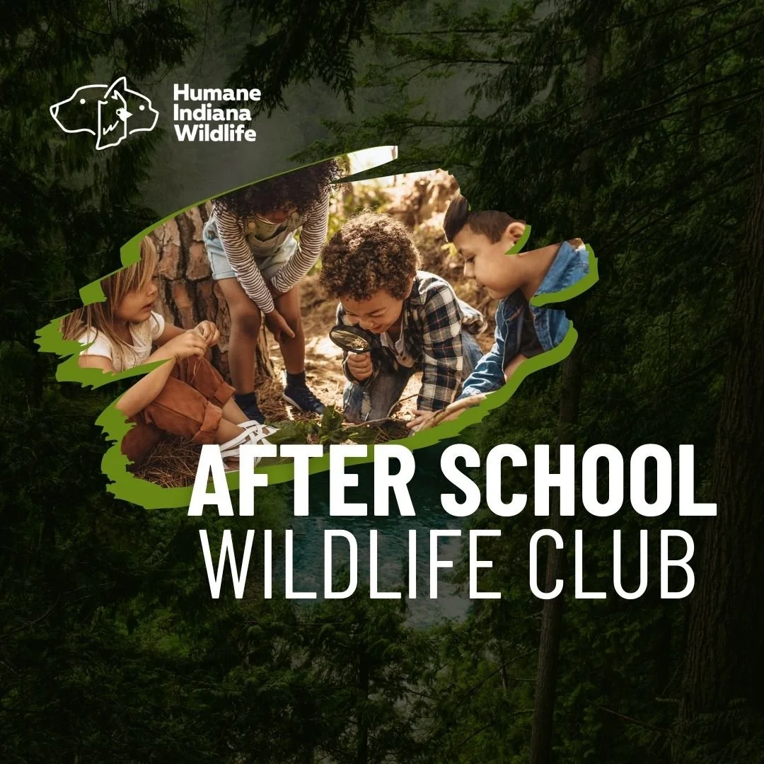 After School Club November