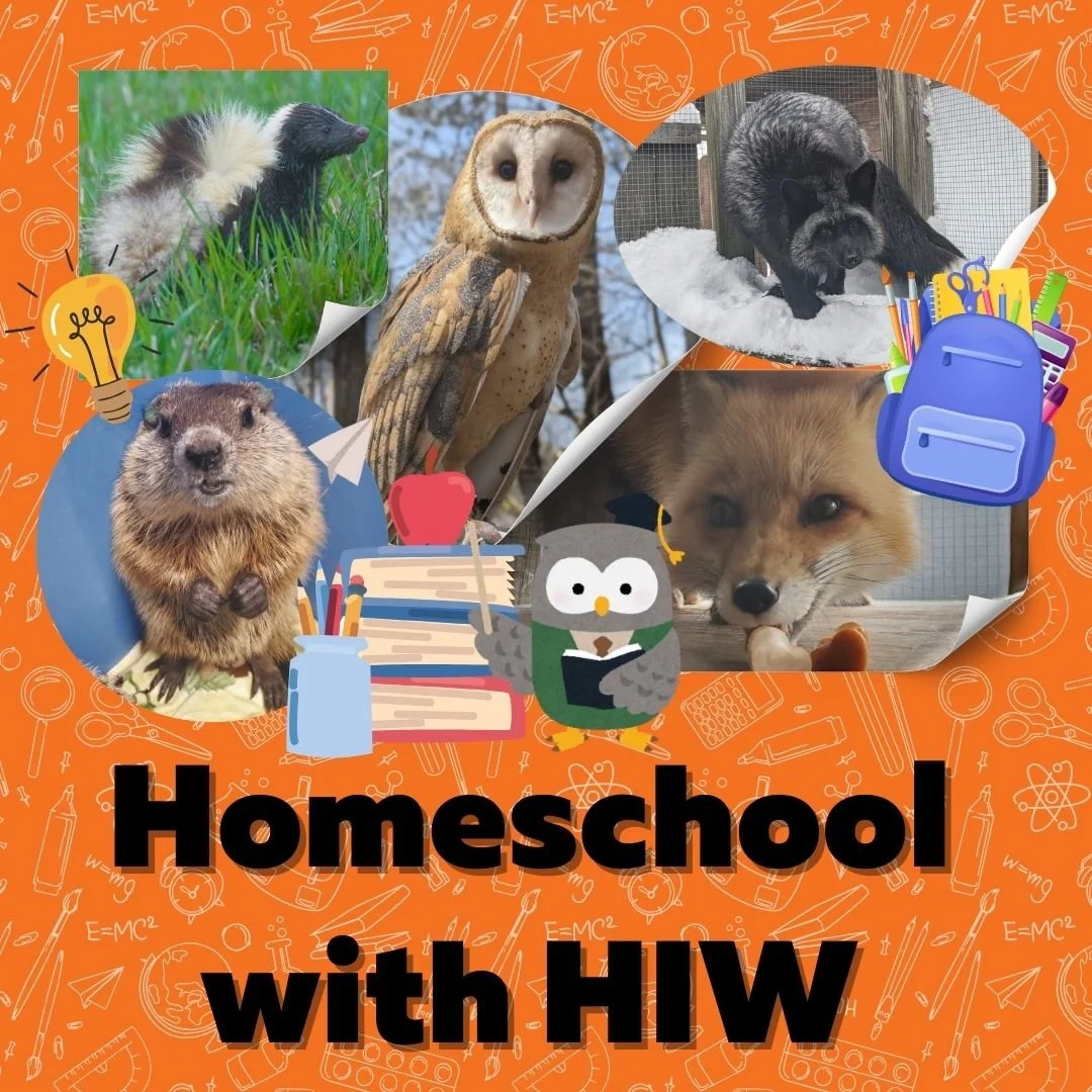 Homeschool with HIW October