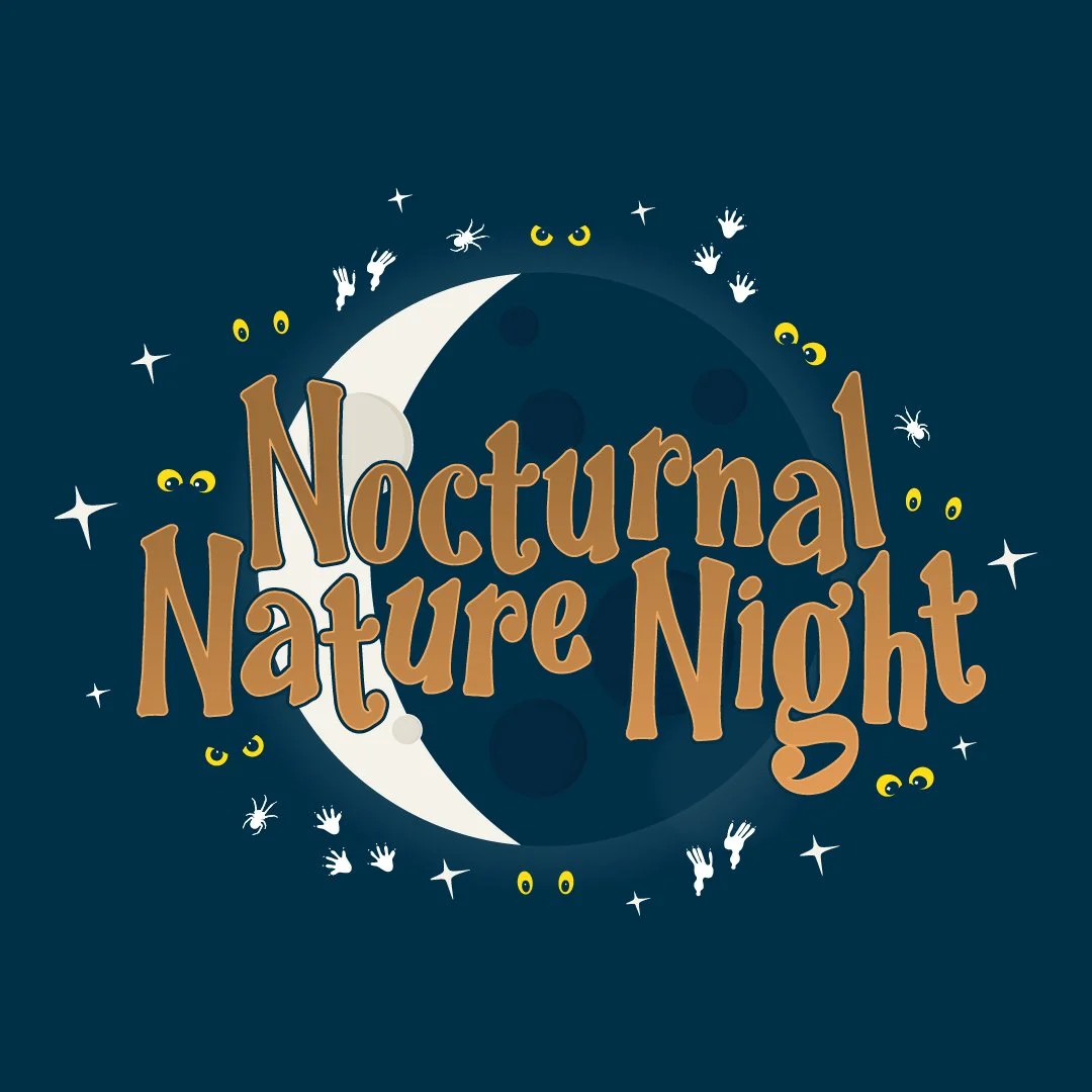 Nocturnal Nature Night