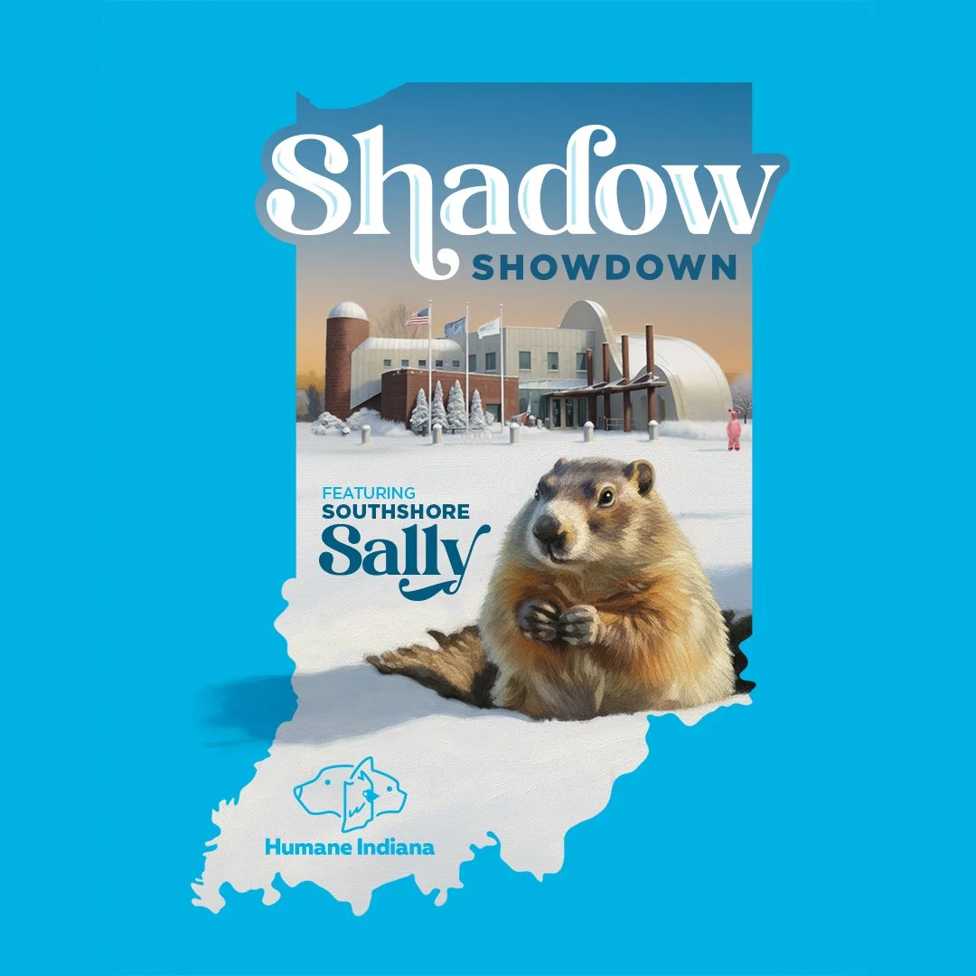 2026 Groundhog Day - Shadow Showdown