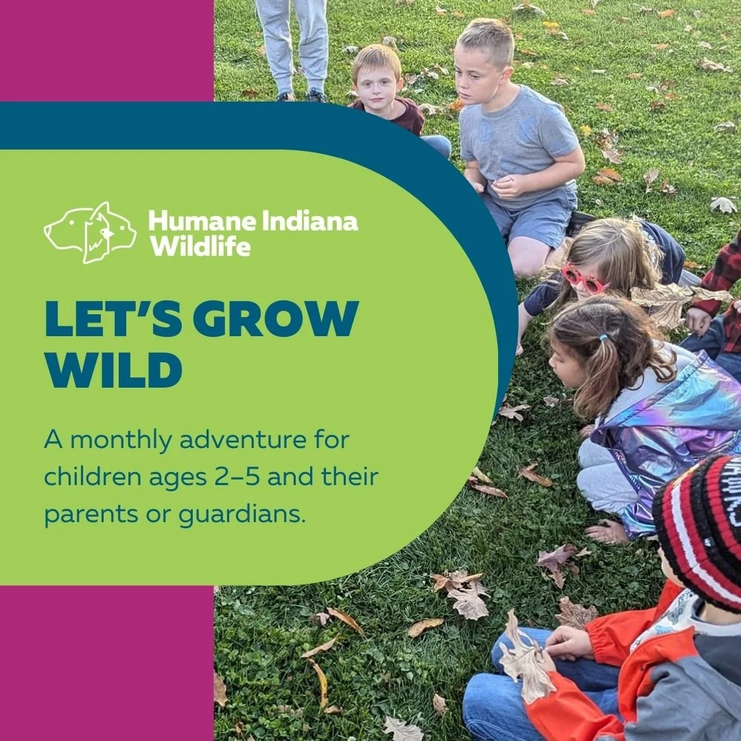 Let's Grow Wild: Ambassador Enrichment