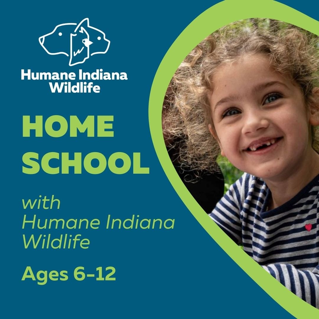 Homeschool with Humane Indiana Wildlife: Winter Survival