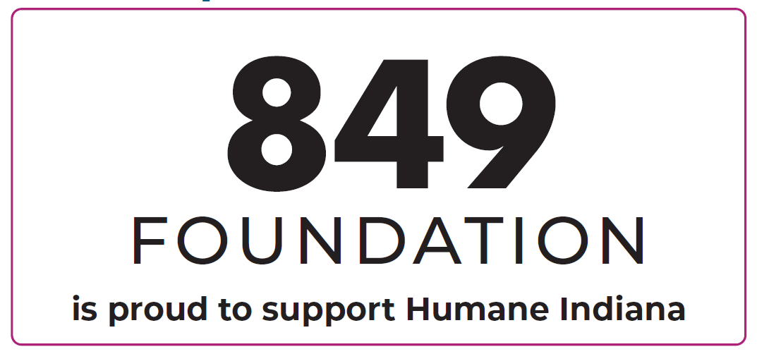 849 Foundation.png