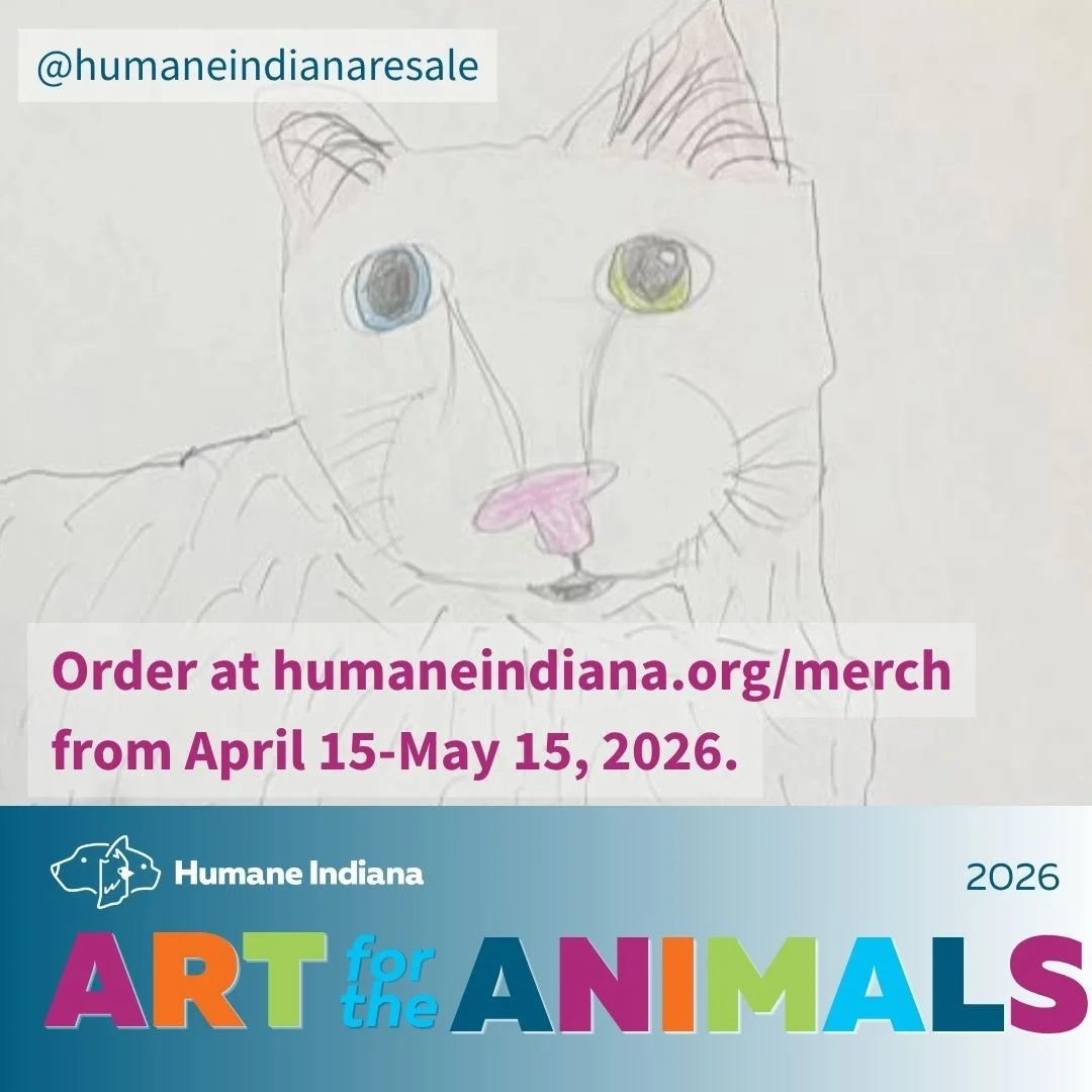 Artwork for the Animals