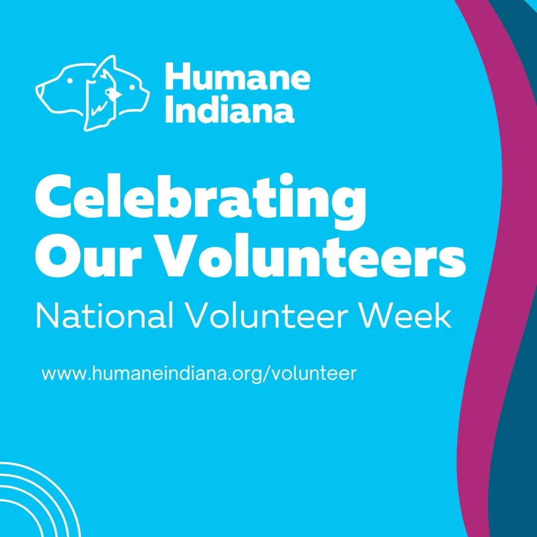 National Volunteer Week