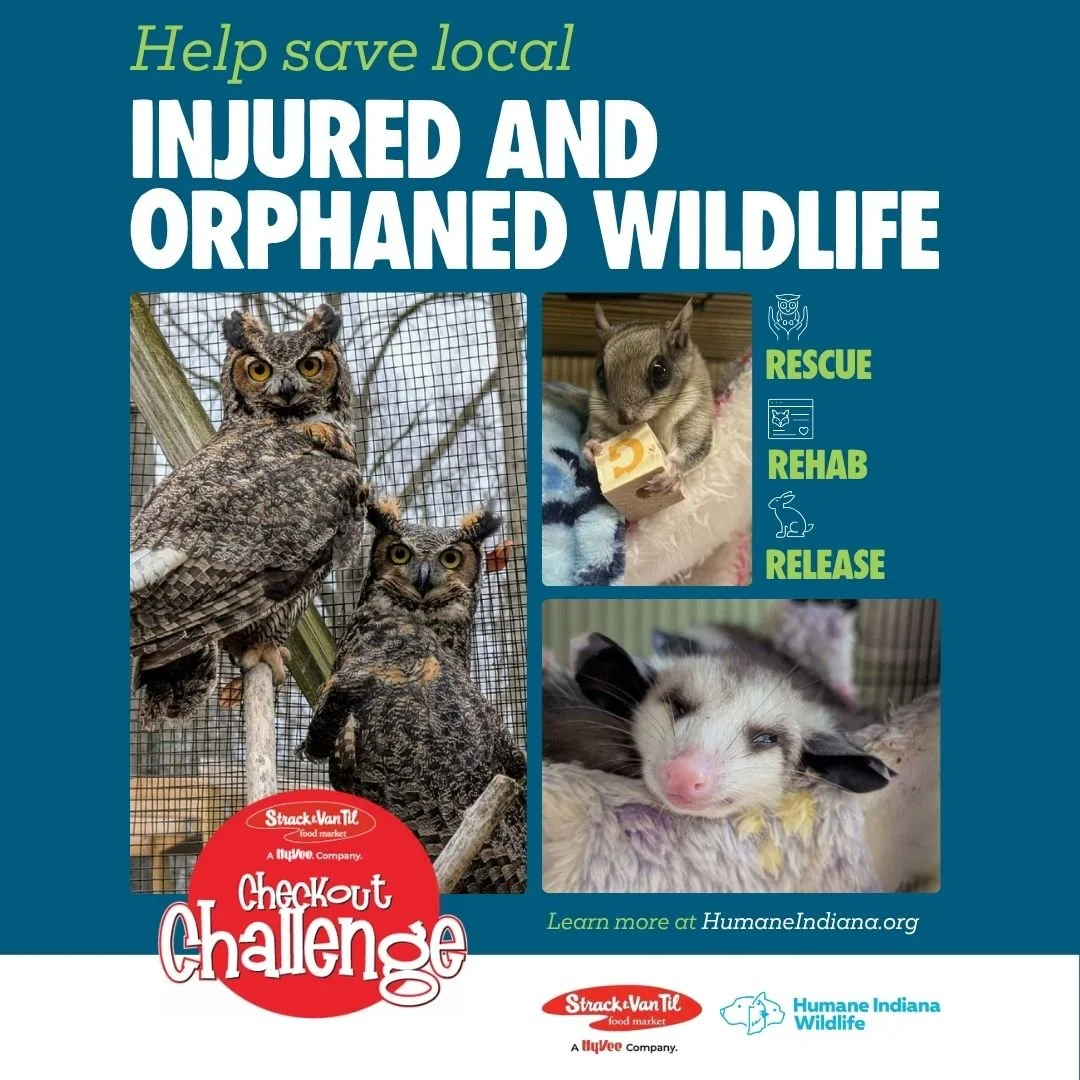 Checkout Challenge Round-Up Campaign to Benefit Humane Indiana Wildlife