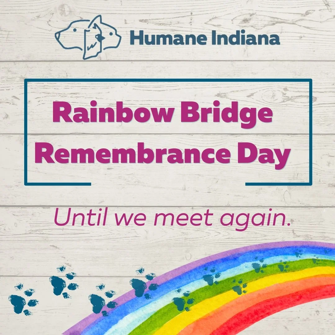 *Postponed* Rainbow Bridge Remembrance Day