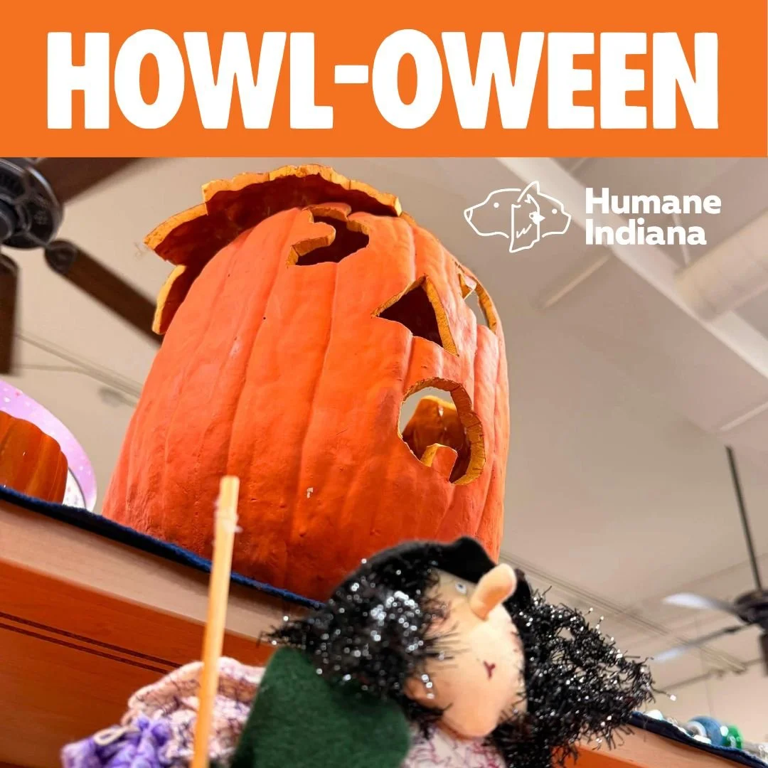 HOWL-oween at Humane Indiana Resale