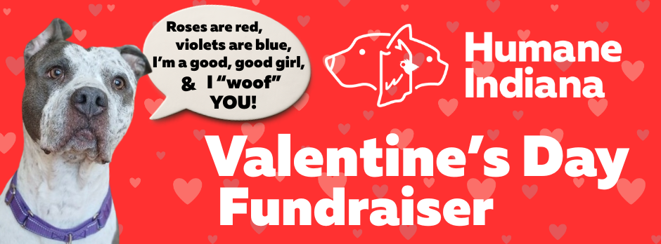 fundraiser event virtuous banners - shelter valentine's day QB version.png