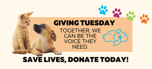 Support Humane Indiana This Giving Tuesday – Help Us Give a Voice to ...