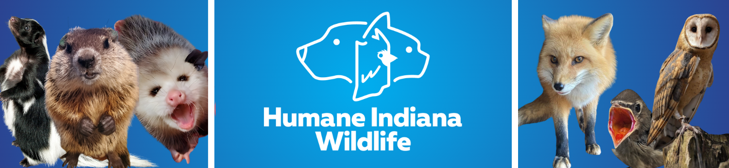 I Want To Visit — Humane Indiana