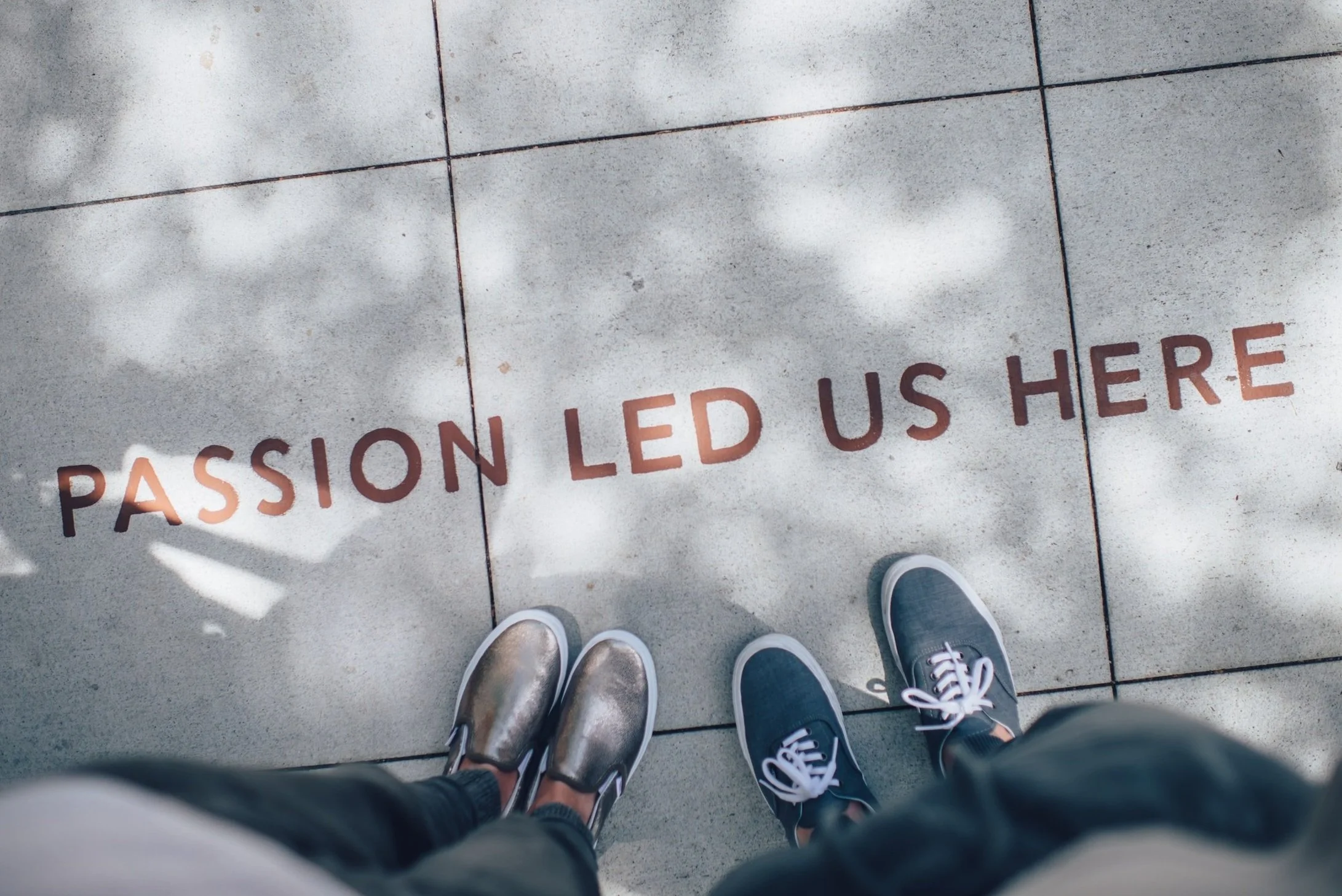 unsplash-image-TamMbr4okv4.jpg