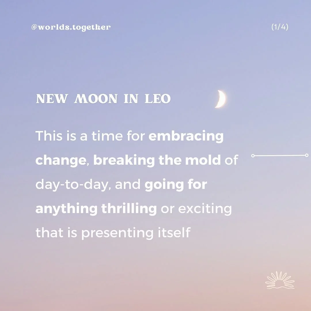 🌚 Once a month we get a reminder from the moon that slowing down, having lower energy, and darkness are part of the cycle of life.

This empty space in the sky is an opportunity to set intentions and manifest what you want to bring into this next cy