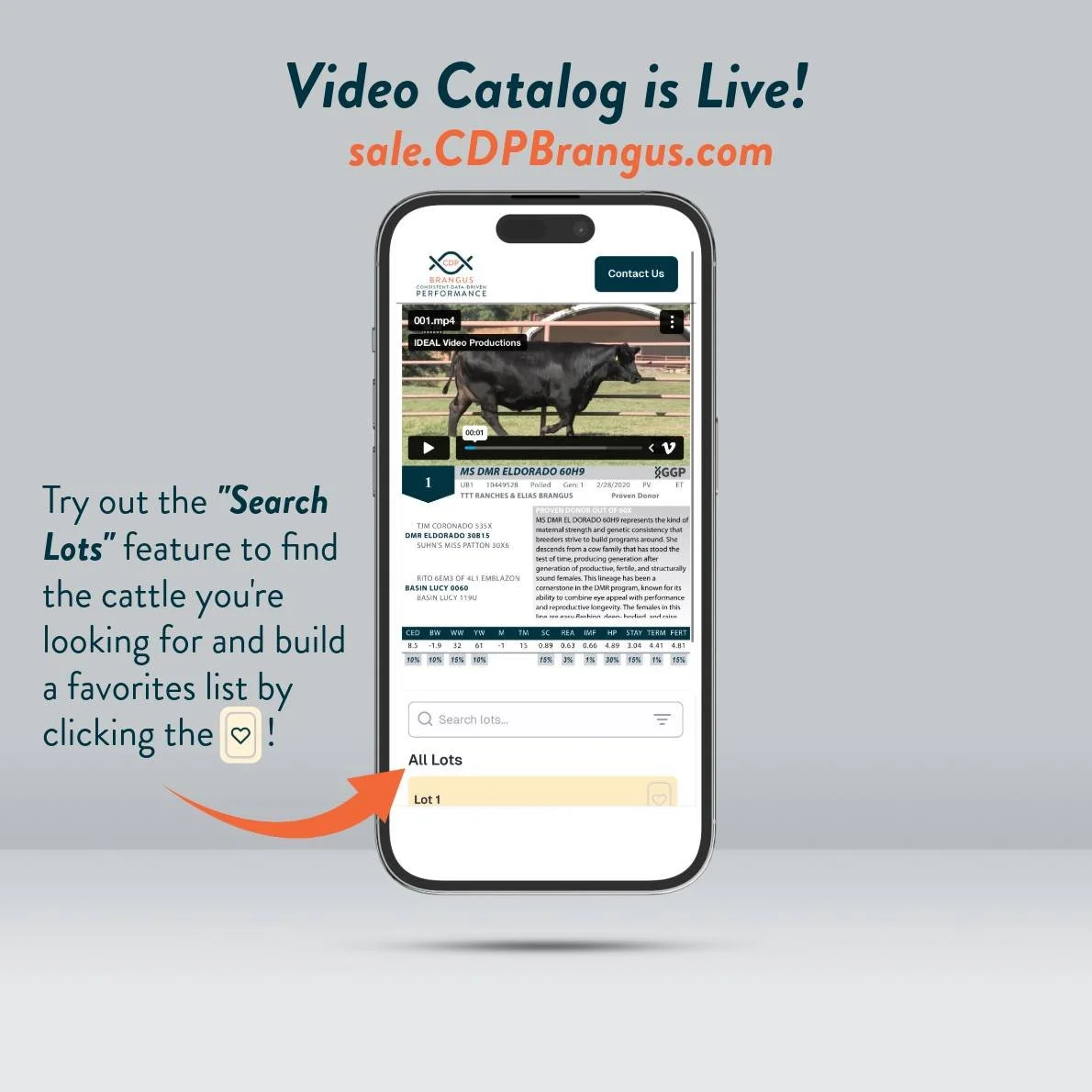 The SORTABLE VIDEO CATALOG is live! 
Check it out now and build your own favorites list. Looking for the lowest BW bulls in the sale? Sort by BW! Looking for all of the Admiral sons in the sale? Sort by sire! Get exactly what you're looking for, ever