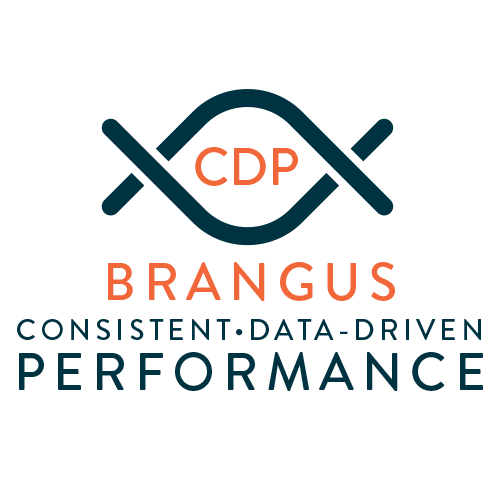 Consistent, Data-Driven Performance Brangus