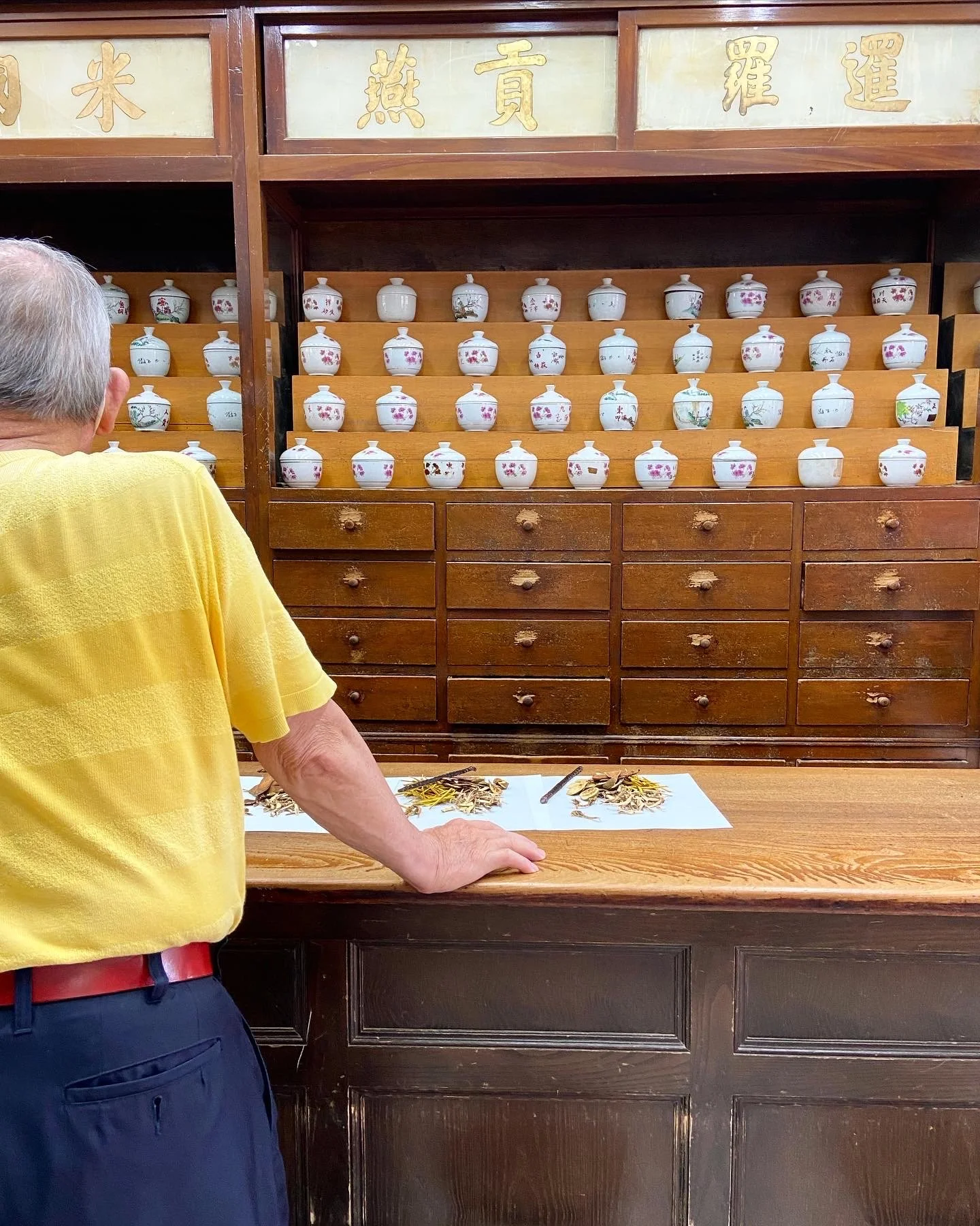 רפואת צמחים.jpeg