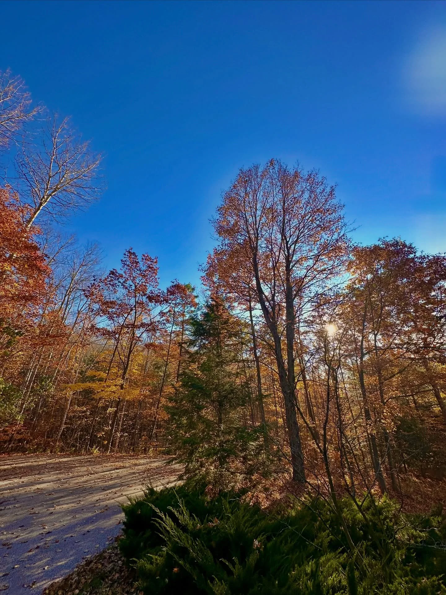 Autumn at home always hits different 🧡

🏷️ northern Michigan photographer, nomi, leelanau peninsula, Michigan photography, Michigan fall
