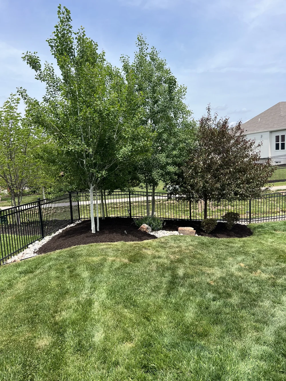 Jc lawn care christmas lighgt