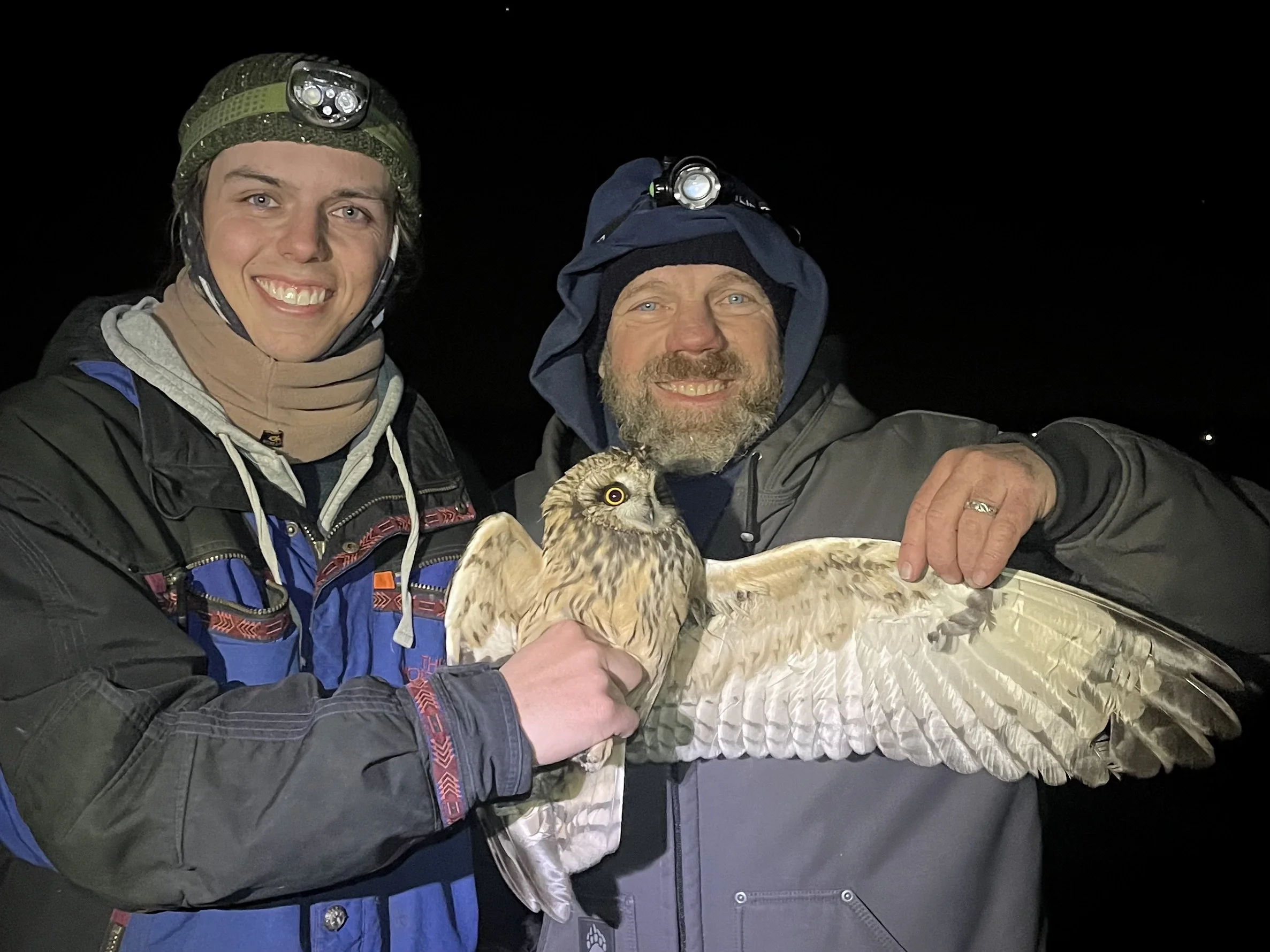 One Nest Box at a Time: Bringing Barn Owls and Kestrels Back to Maryland’s Working Landscapes