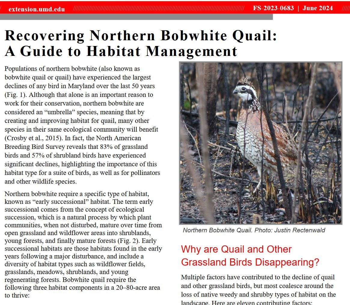 quail+fact+sheetCapture.jpg