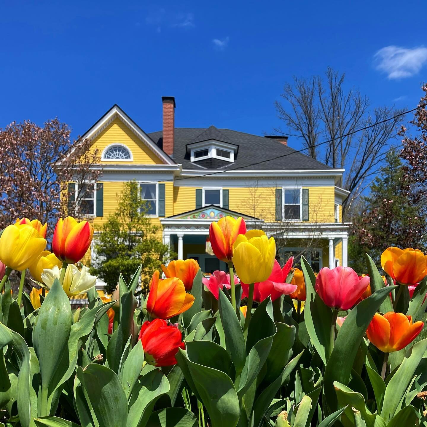 I&rsquo;m proud to be a presenting sponsor of the upcoming Clifton Home &amp; Garden Tour! You probably already know that Clifton is my stomping ground, so this event is close to my heart (and my home).

In keeping with neighborhood tradition, the 20