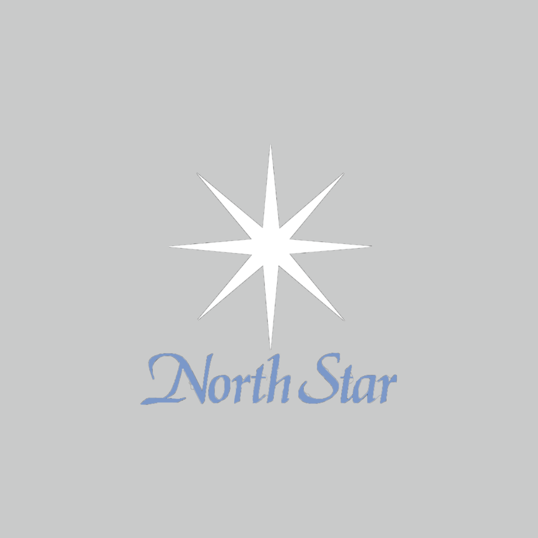 Brenda team north star cake wars christmas