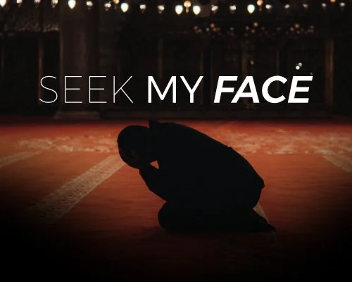 Seek My Face