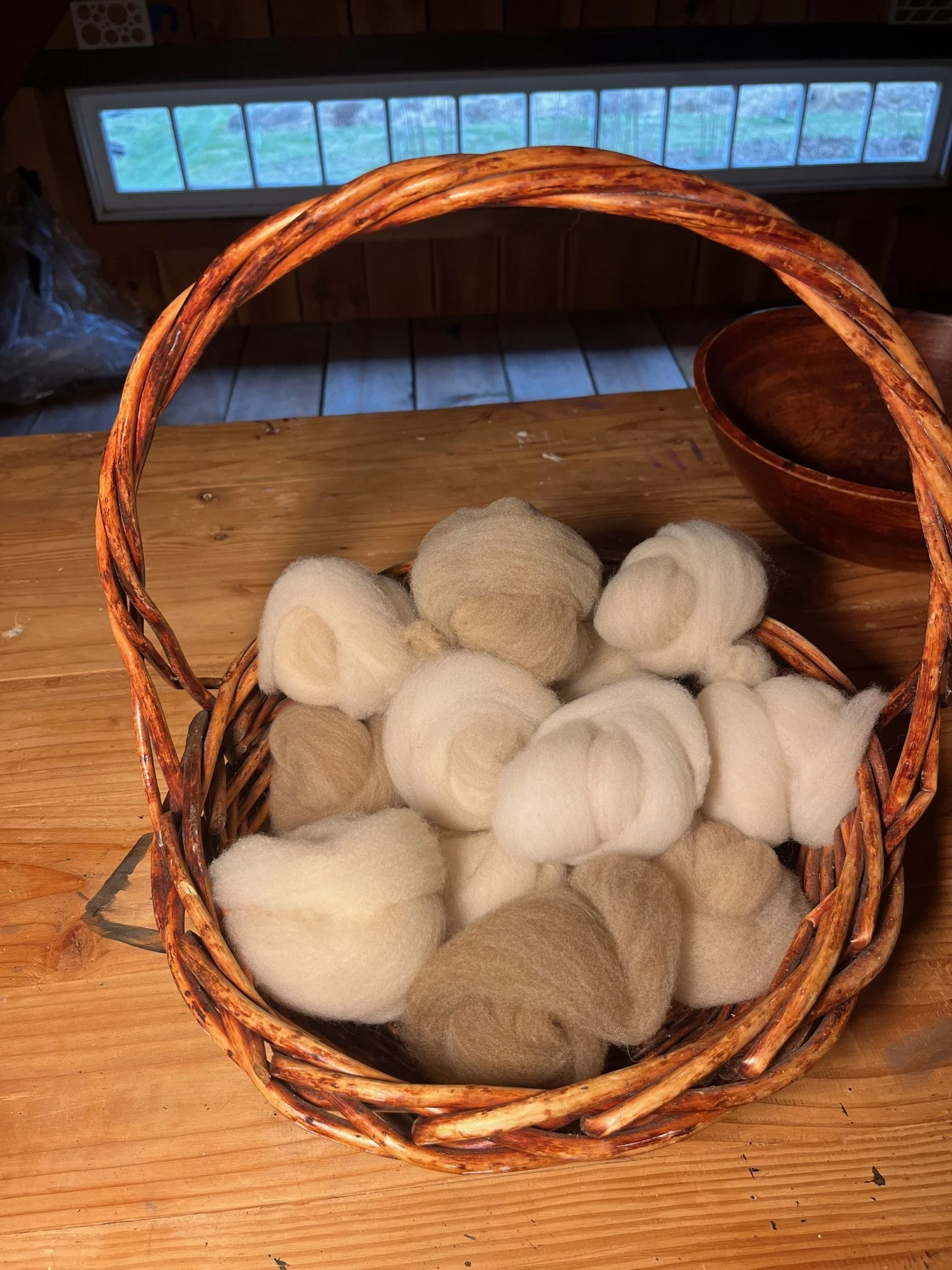 CVM/Romeldale hand combed top for spinning, cream to light tan, 4 0z.