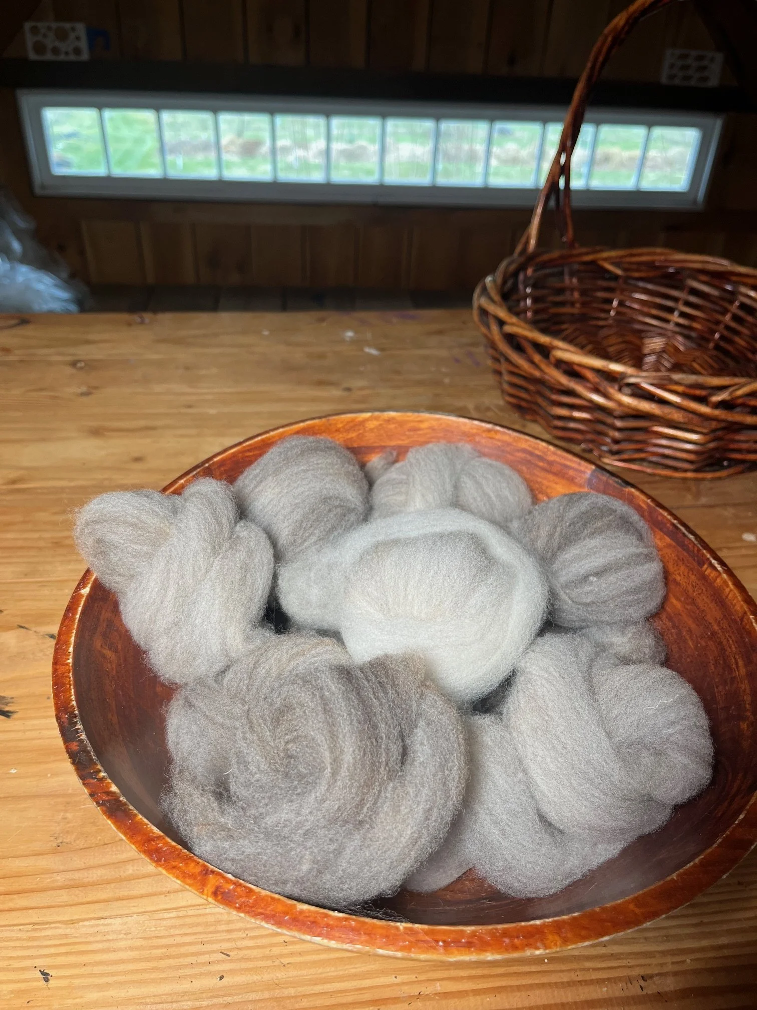 CVM/Romeldale hand combed top for spinning, shades of gray, 4 oz.