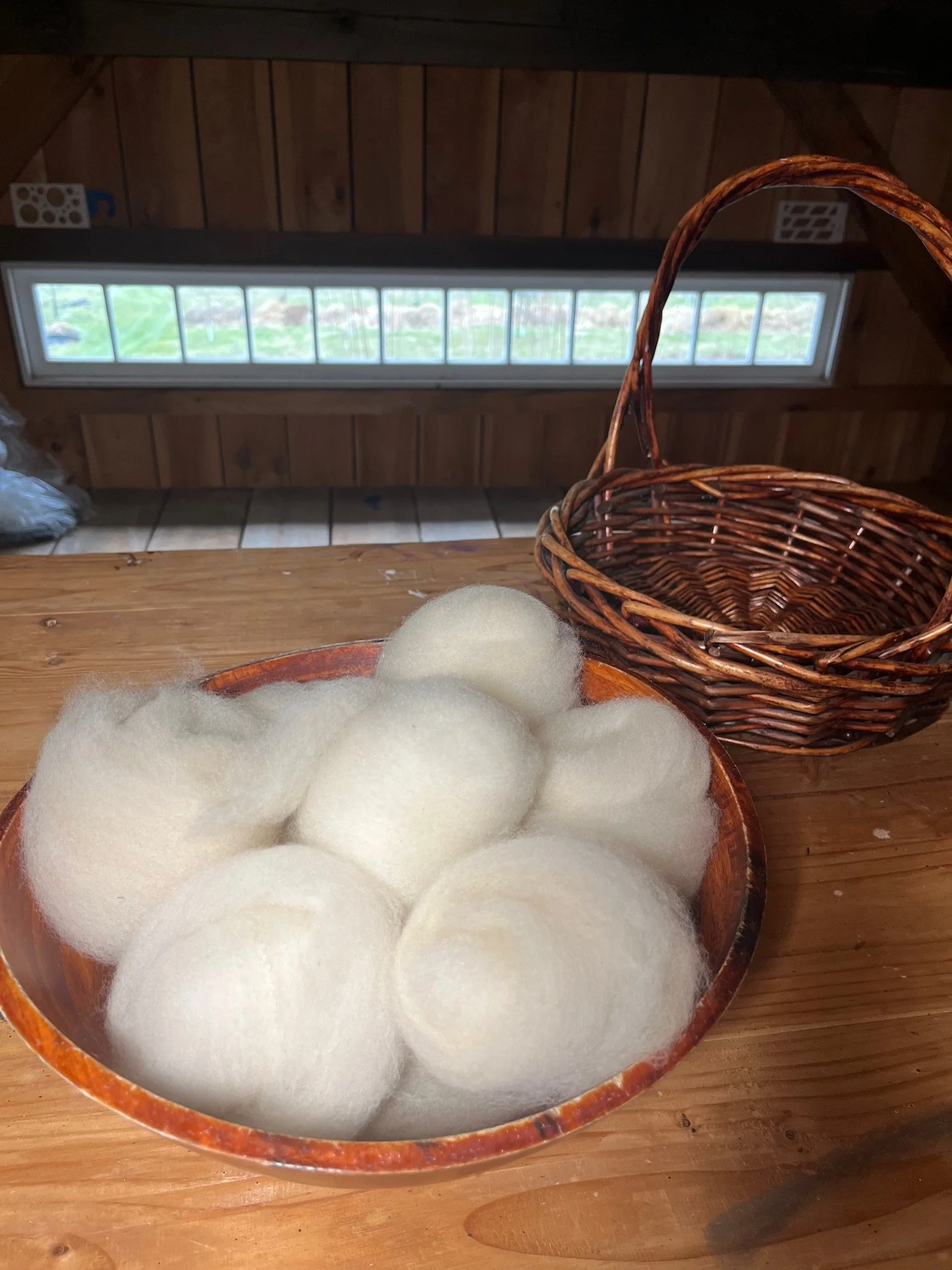 CVM/Romeldale hand combed top for spinning, natural white, 4 oz.