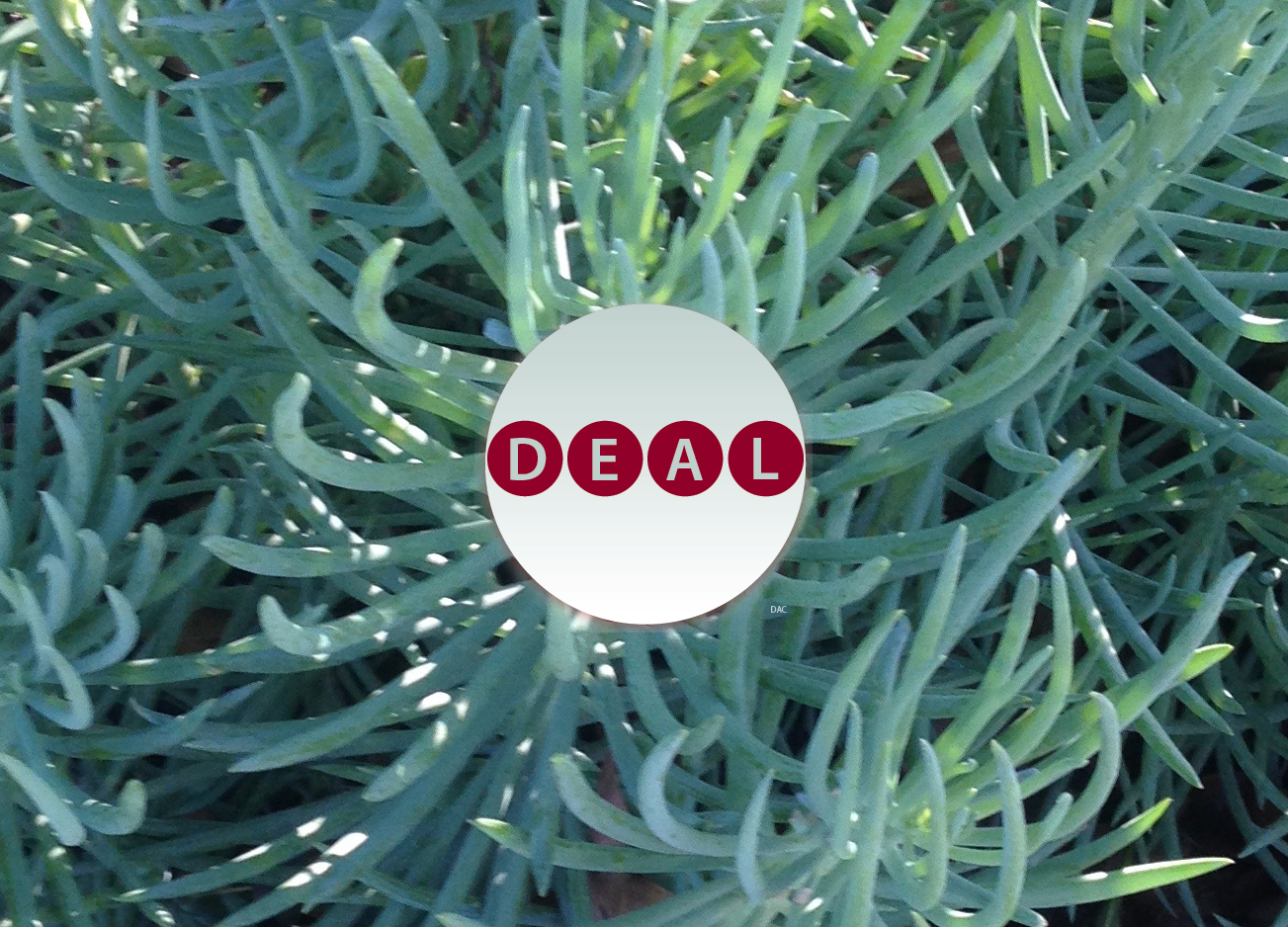 Be.DefiningTheDeal-diane.a.curran-ice-green-Deal.png