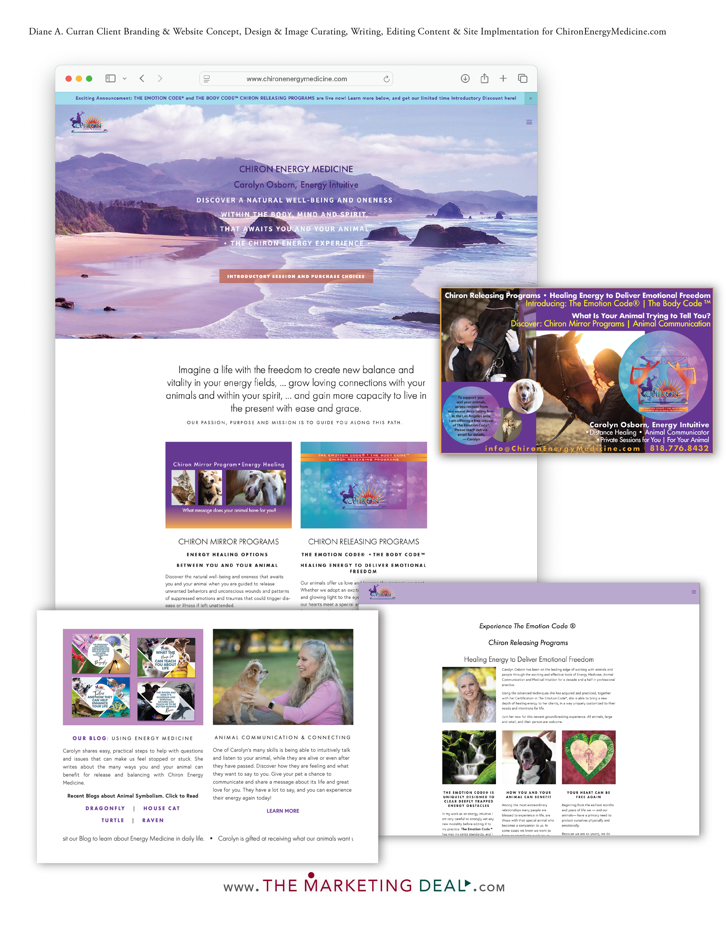 TMD portfolio CEM website 2025.png