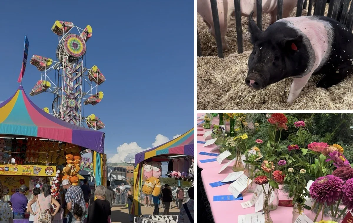 fair-collage.jpg