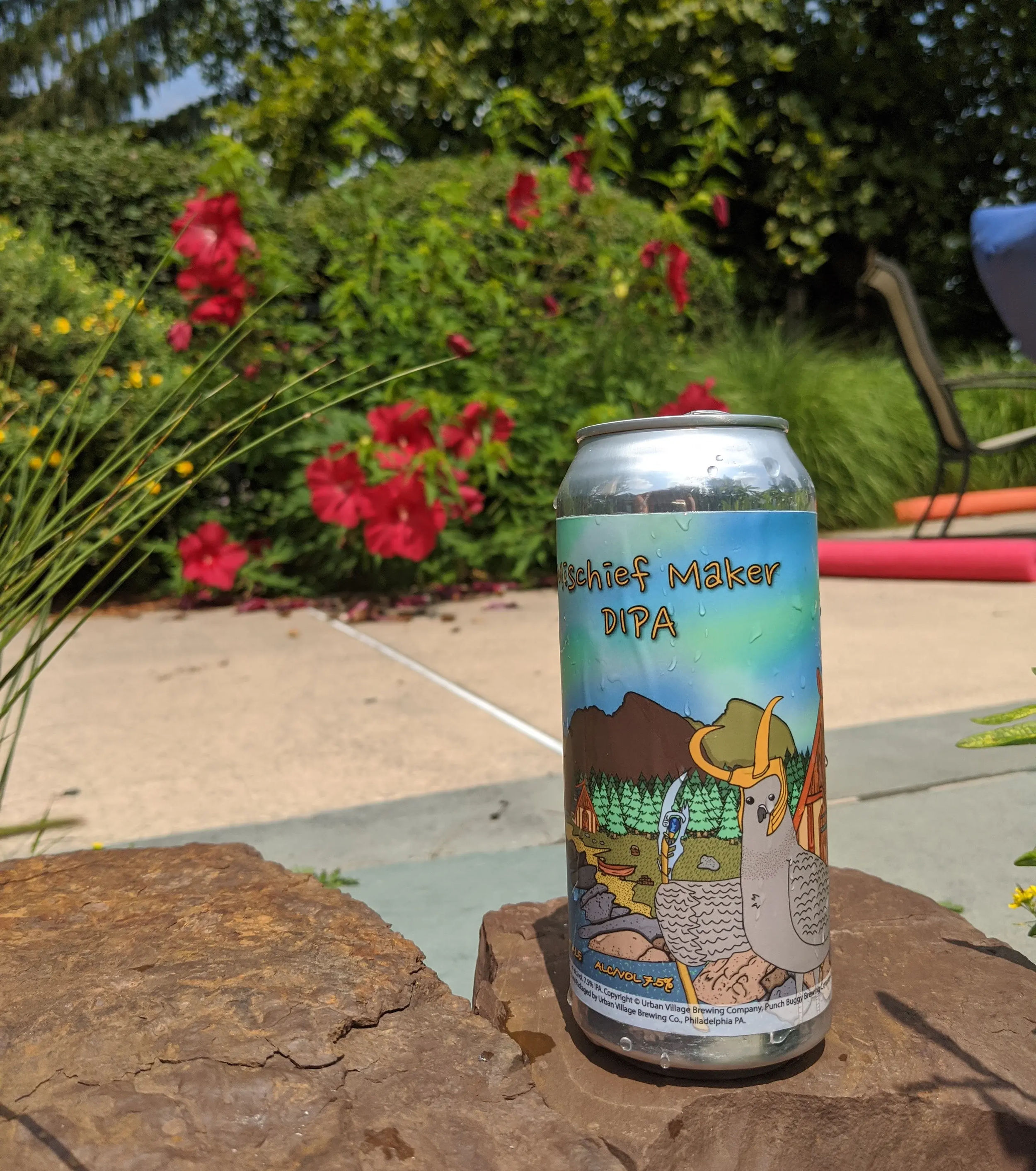 IMG_20210725_115650_255 (1).png